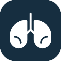 Lungs
